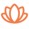 flower-lotus